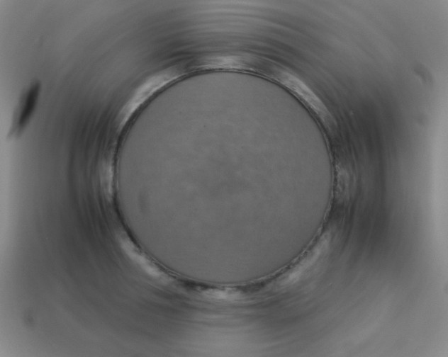 X0000113780994200910211201