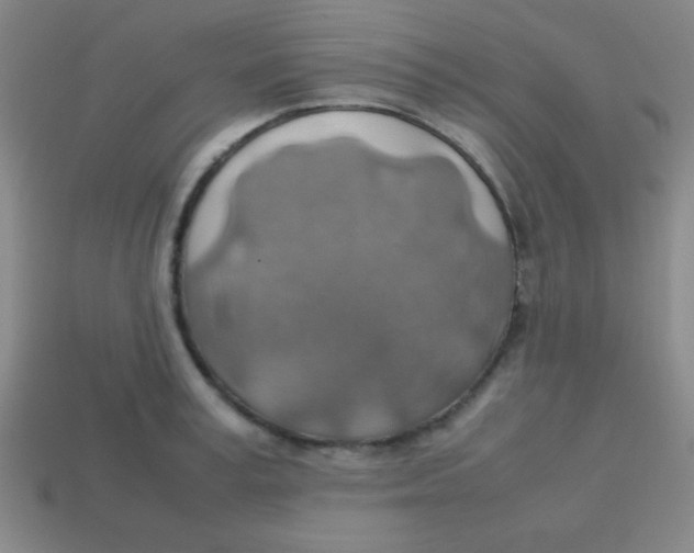 X0000113780995200910211201