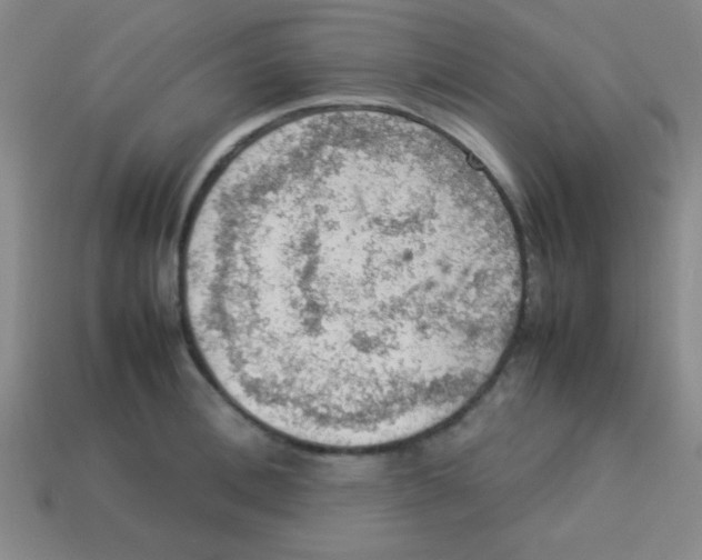 X0000113780996200910211201