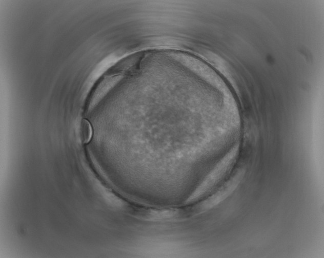 X0000113780997200910211201