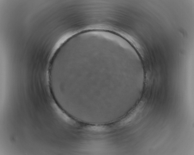 X0000113780998200910211201