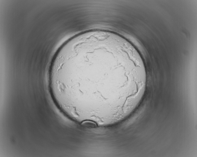 X0000113780999200910211201