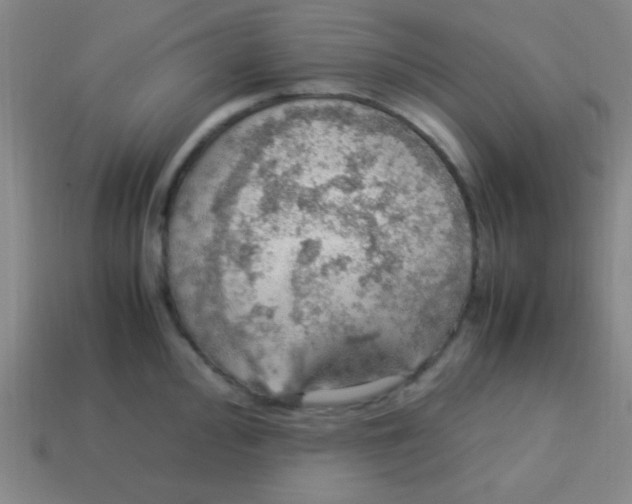 X0000113781000200910211201