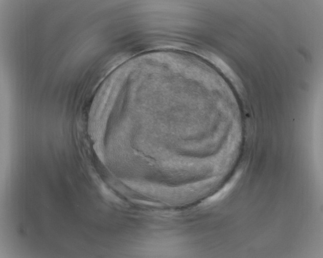 X0000113781001200910211201