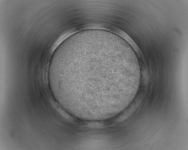 X0000113781002200910211201