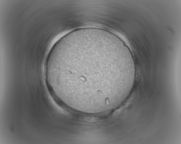 X0000113781003200910211201