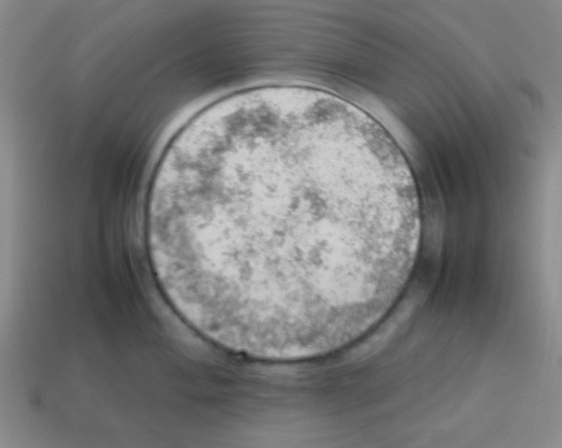 X0000113781004200910211201