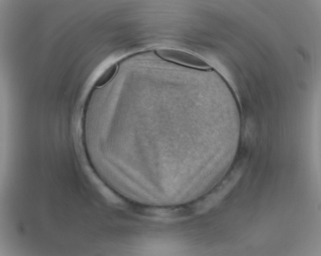 X0000113781005200910211201