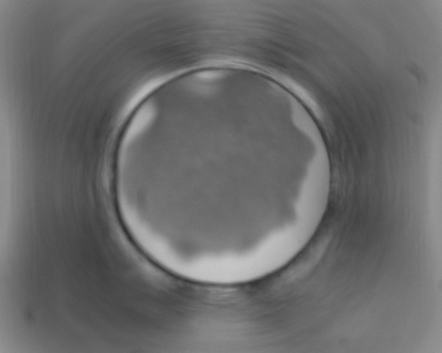 X0000113781007200910211201