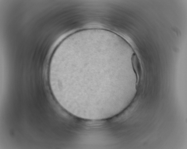 X0000113781008200910211201