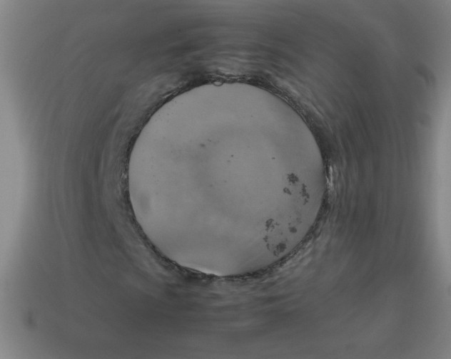 X0000113781009200910211201