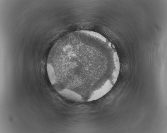 X0000113781010200910211201