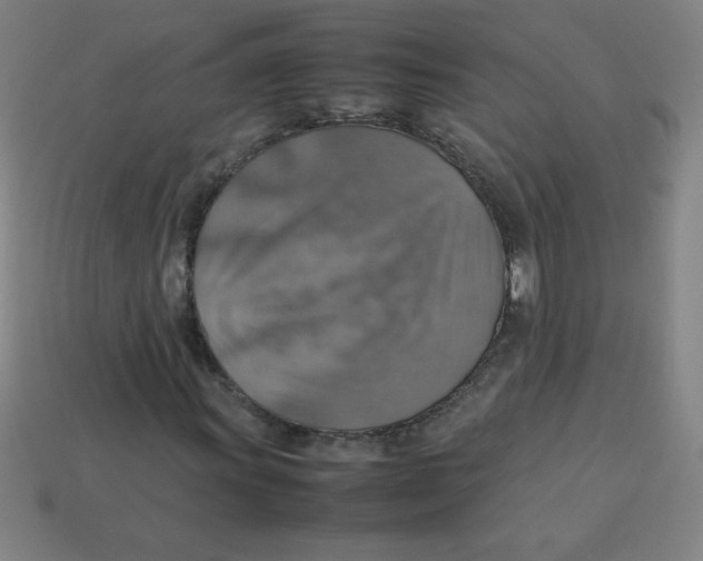 X0000113781011200910211201