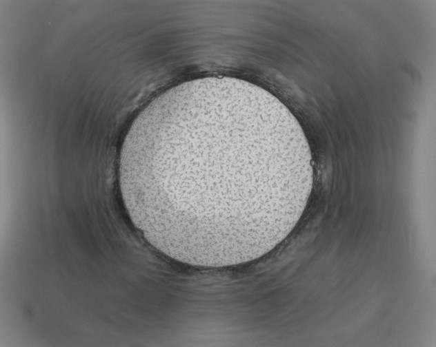 X0000113781012200910211201