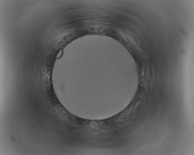 X0000113781013200910211201