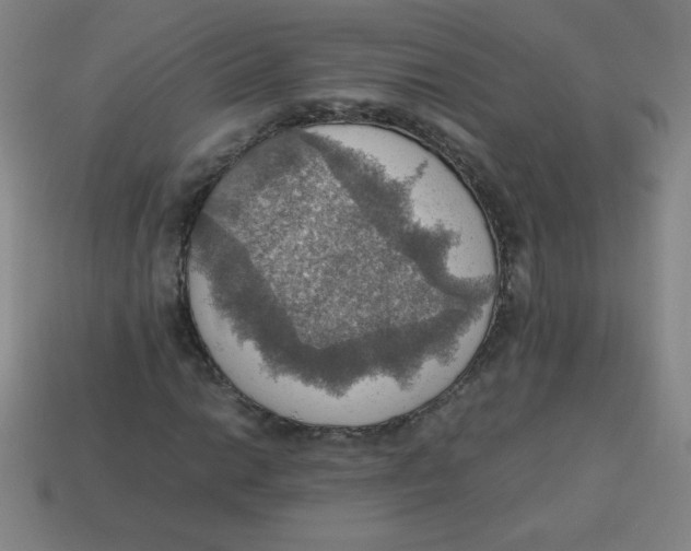 X0000113781014200910211201