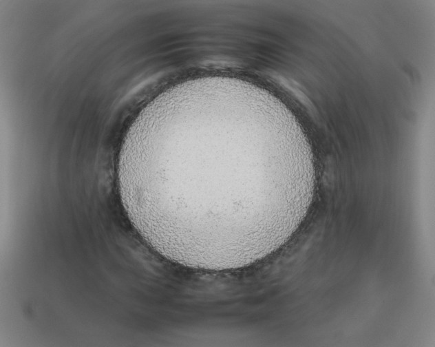 X0000113781015200910211201