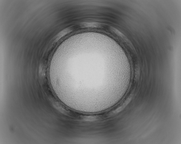 X0000113781017200910211201