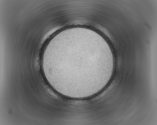 X0000113781018200910211201