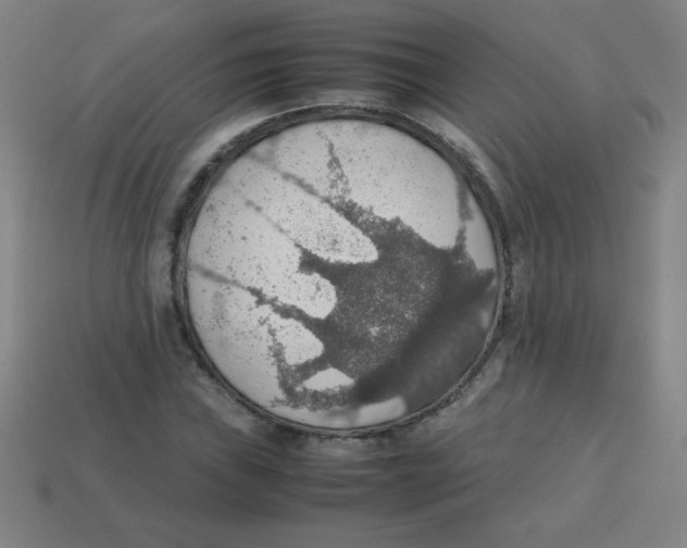 X0000113781019200910211201