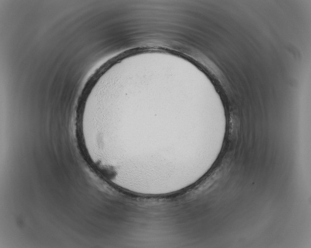 X0000113781020200910211201