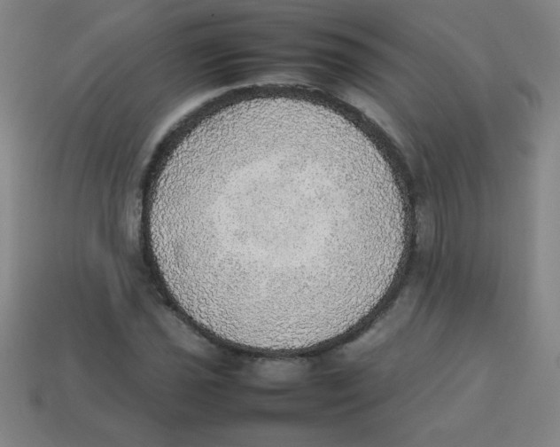 X0000113781021200910211201