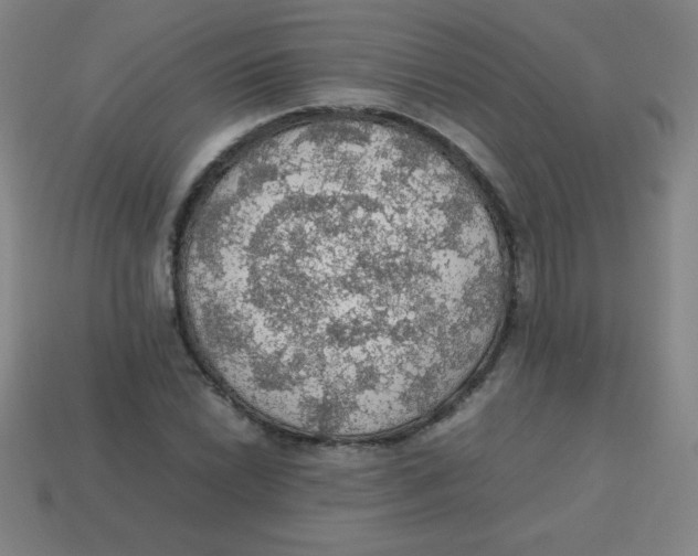 X0000113781022200910211201