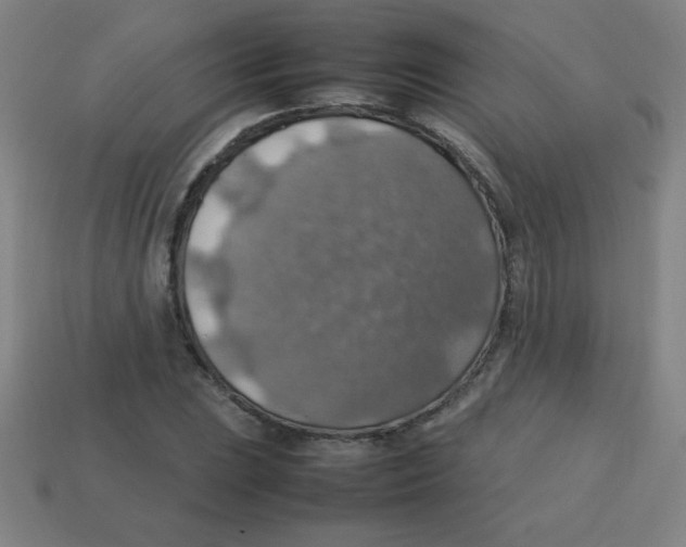 X0000113781023200910211201