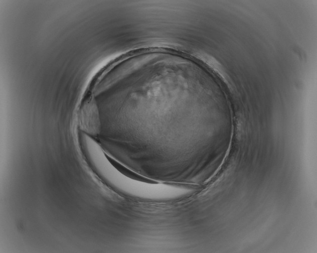 X0000113781024200910211201