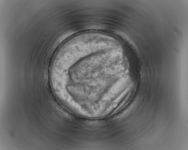 X0000113781025200910211201