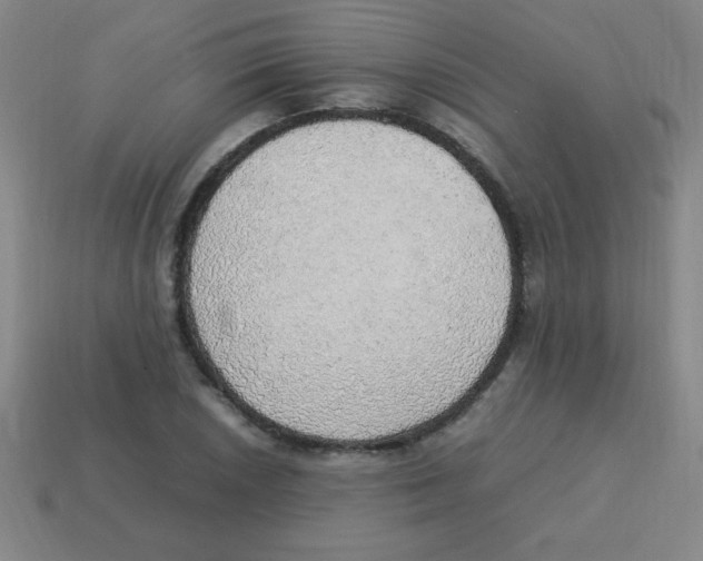 X0000113781026200910211201