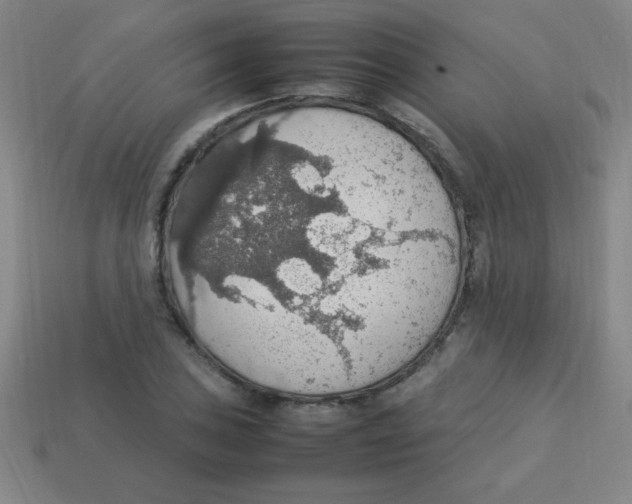 X0000113781027200910211201