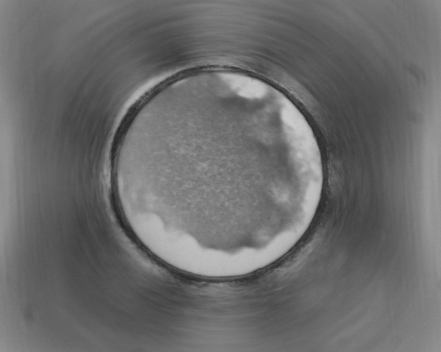 X0000113781028200910211201