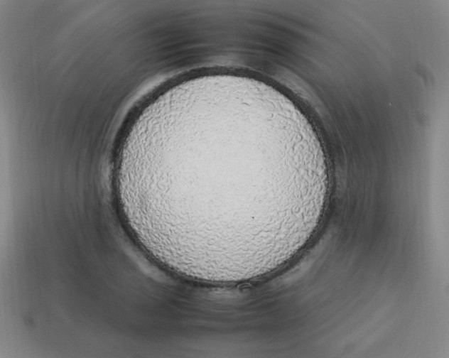 X0000113781029200910211201