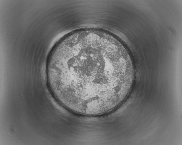 X0000113781030200910211201