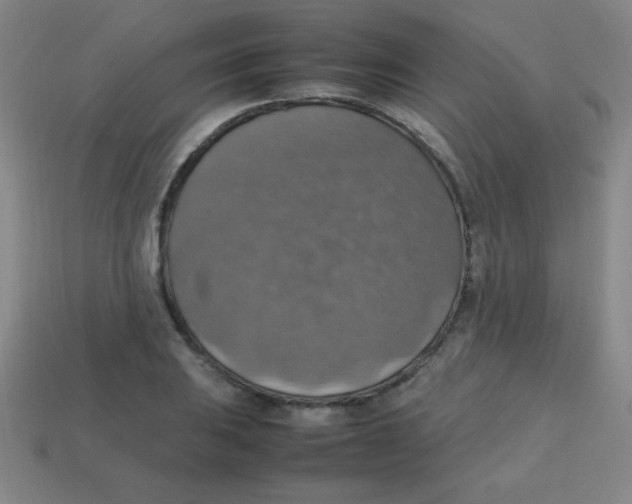 X0000113781031200910211201