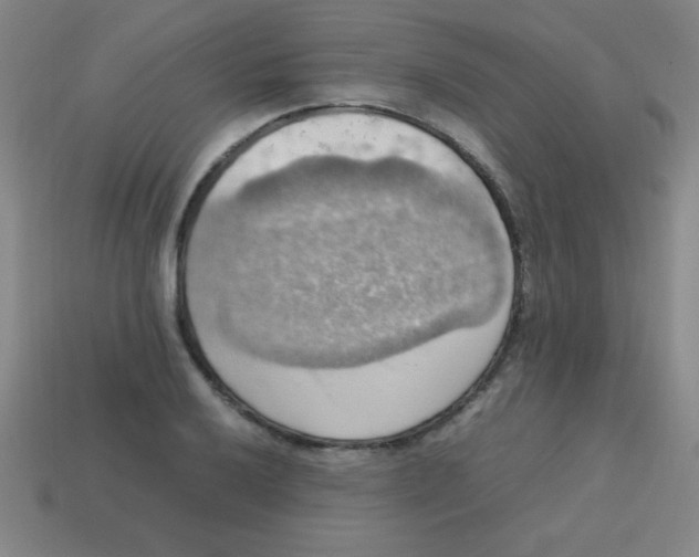 X0000113781032200910211201