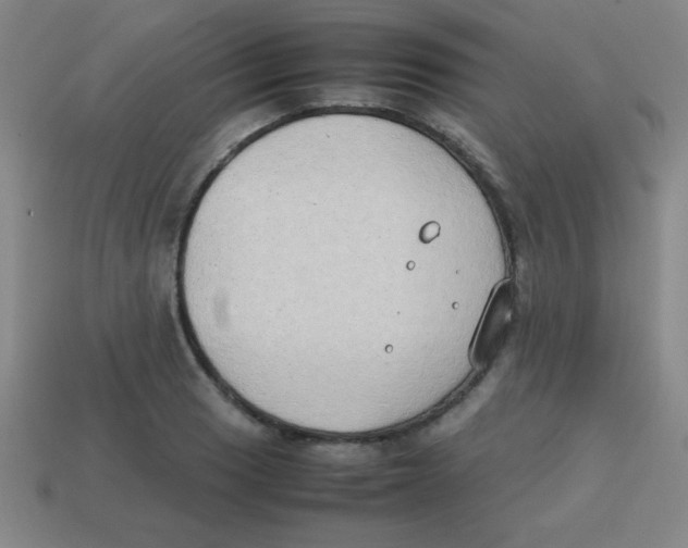 X0000113781033200910211201