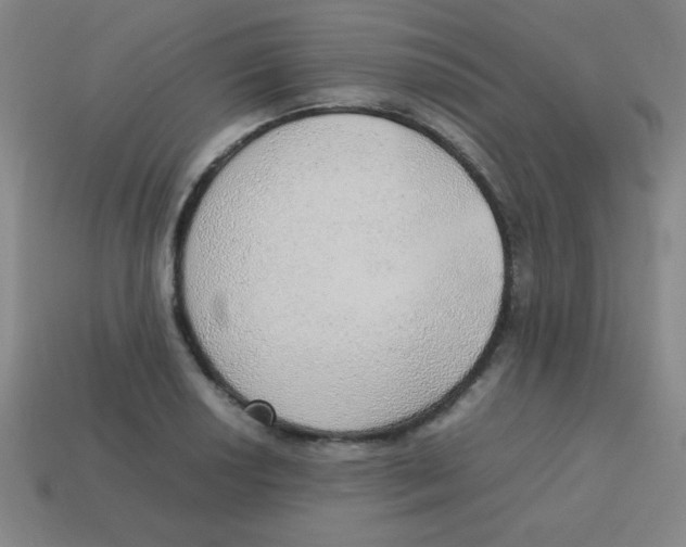 X0000113781034200910211201