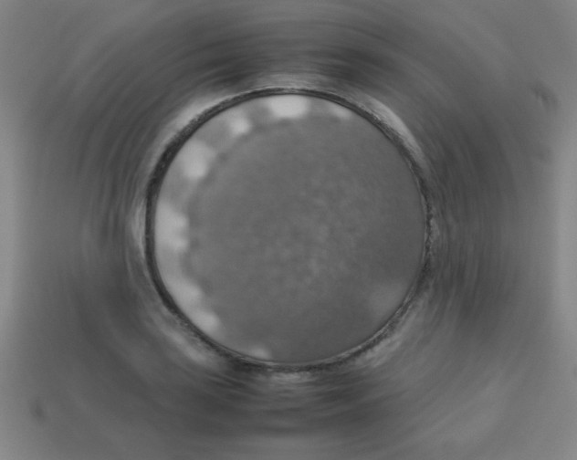 X0000113781035200910211201