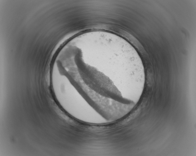 X0000113781036200910211201