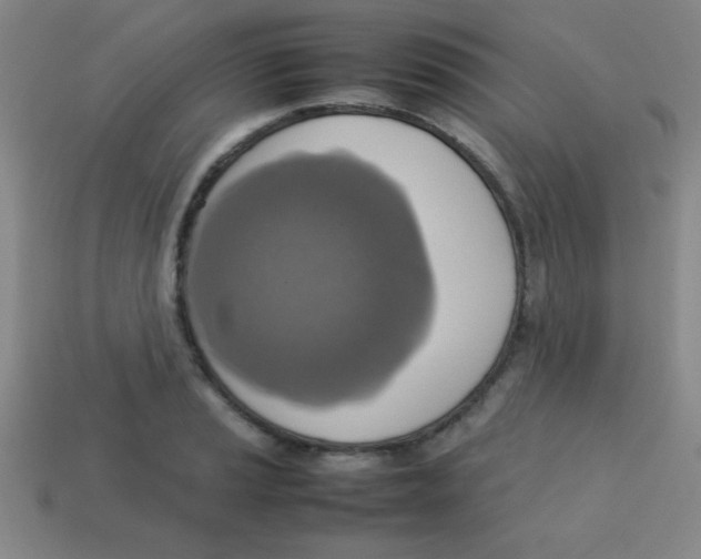 X0000113781037200910211201