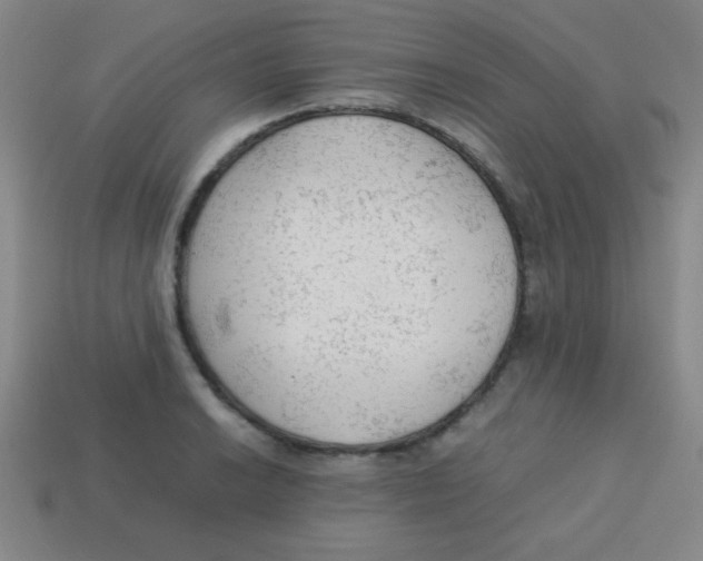 X0000113781038200910211201