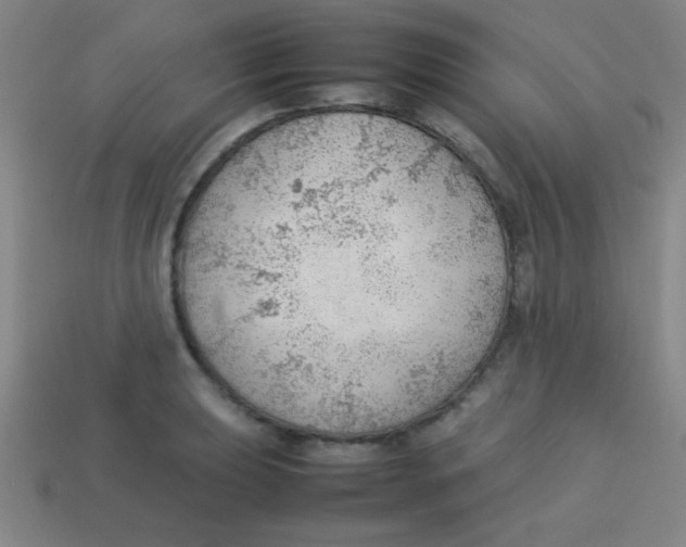 X0000113781039200910211201