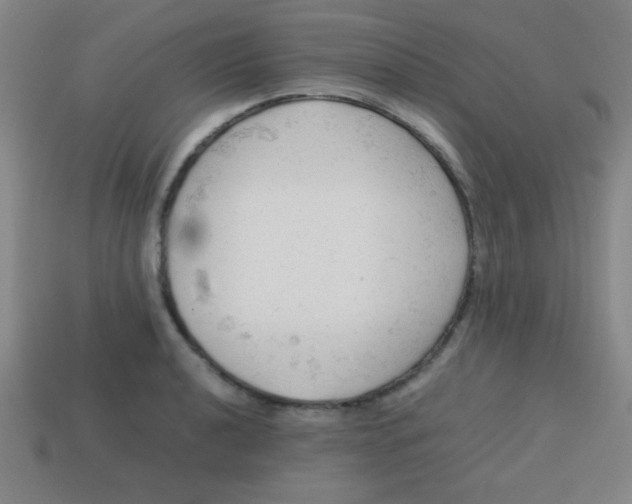 X0000113781040200910211201