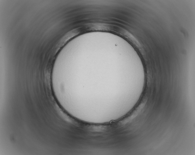 X0000113781041200910211201