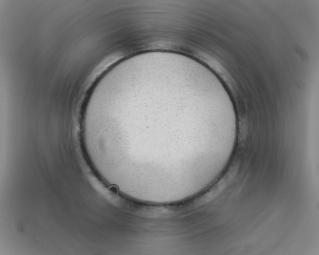 X0000113781042200910211201