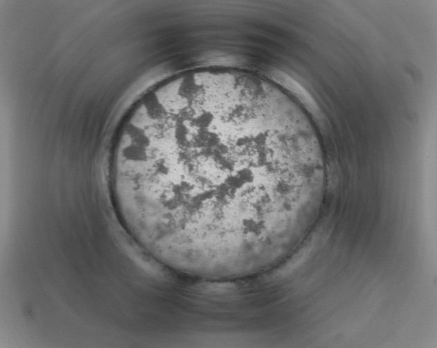 X0000113781043200910211201