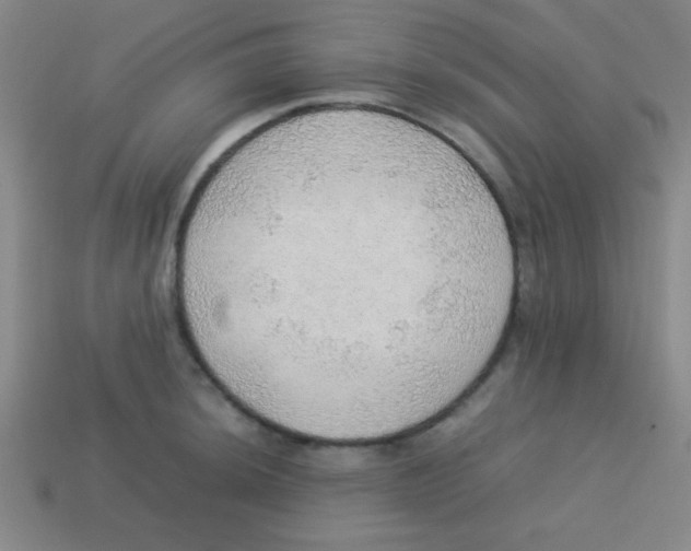 X0000113781044200910211201