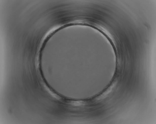 X0000113781045200910211201